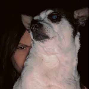 Meet your Posher, Macey